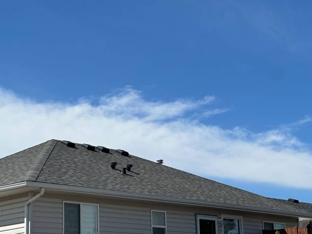 Best Roof Leak Repair  in Charlotte, TX